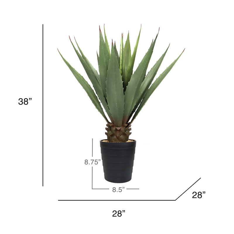Fausse plante d'agave en pot 38 po Coles