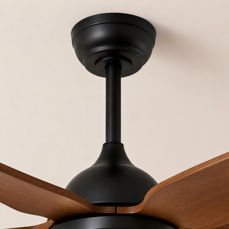 Ventilateur de plafond moderne en bois massif 52 "avec lumière, Noir mat, Bois naturel