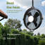 24.8" Ebern Designs Outdoor Ceiling Fan With Light 360-degree Manual Vertical Rotation - Waterproof-765582710