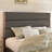 Upholstered Platform Bed, No Box Spring Needed-479684698-479684696