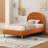 Halis Upholstered Scalloped Bed-1845214351-1854820860