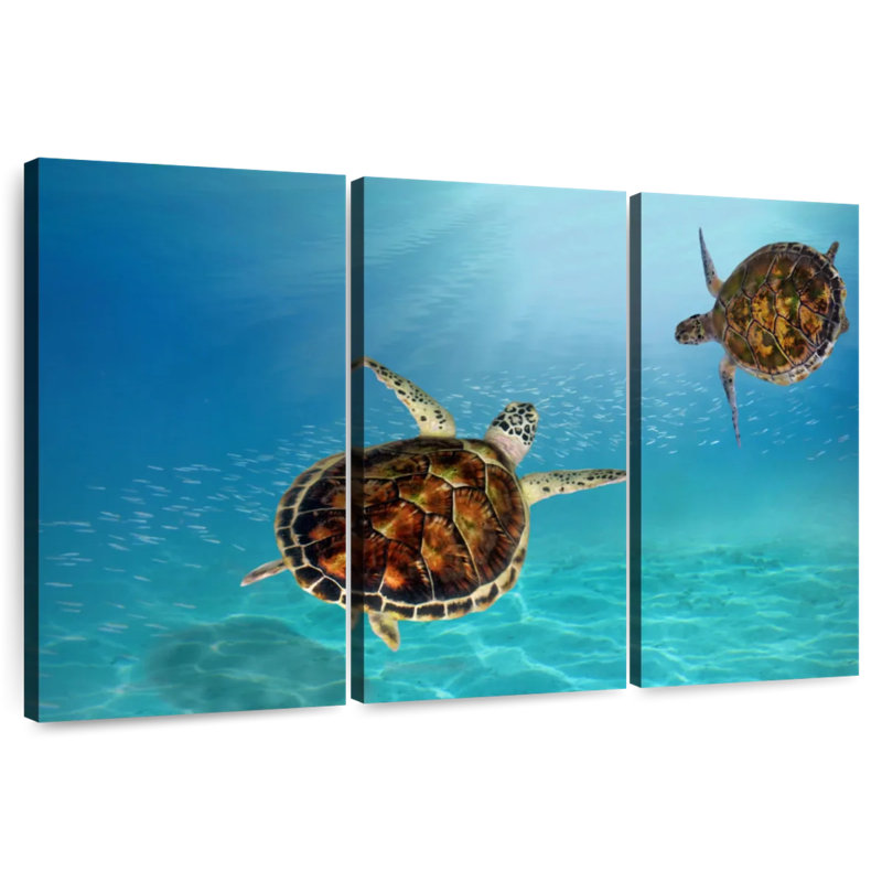 Underwater Hawksbill Turtles, 42" H x 65" W