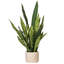Faux Snake Plant in Cement Pot