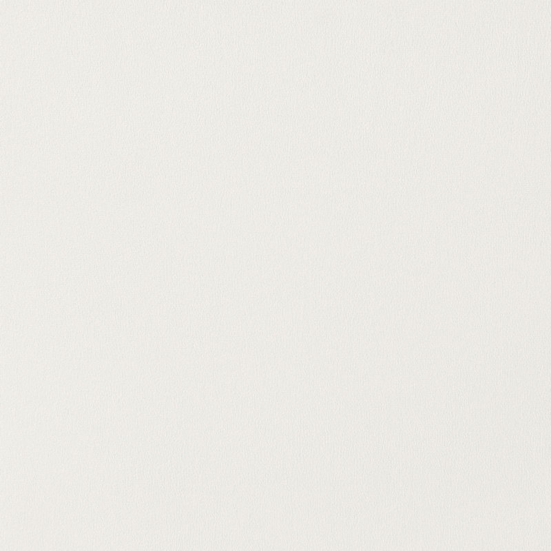 Chaises de salle à manger, Blanc