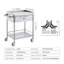 Chariot utilitaire médical en acier inoxydable avec rangement à deux niveaux, tiroir intégré, capacité de 220 lb et roulettes verrouillables silencieuses à 360 ° pour le laboratoire, la clinique, la cuisine ou le salon.
