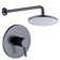 Shower Faucet with Rough-in Valve