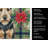 Welsh Terrier Christmas PoinsettIas Kitchen Towel-2080583842