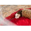 Parc Esme pour petits animaux Esme-787959297-787959299