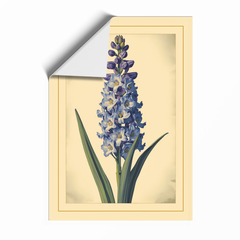 Hyacinth Study Botanical - Framed Print, Unframed, A3 - 42.0 x 29.7 cm