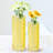 Fleurine Tall Frosted Textured Glass Table Vase Set of 2, Colored Glass, Yellow-81793209