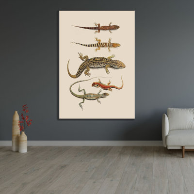  Unknown Gallery Wrapped Canvas Art Titled: Antique Lizards III