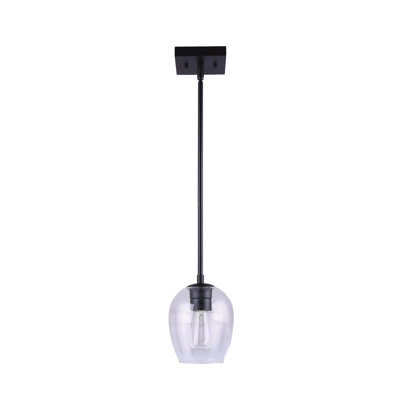 1 - Light Black Single Pendant