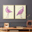 Impression encadrée Seabird I-Premium - prête à être accrochée - aucun clou requis - aucun clou requis-119530904-119530909