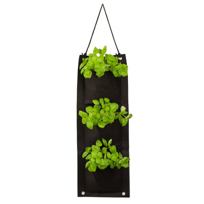 Organic Basil Hanging Planter Bag Grow Kit