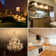 20 Watt Equivalent T4 G4/Bi-pin 3000K LED Bulb