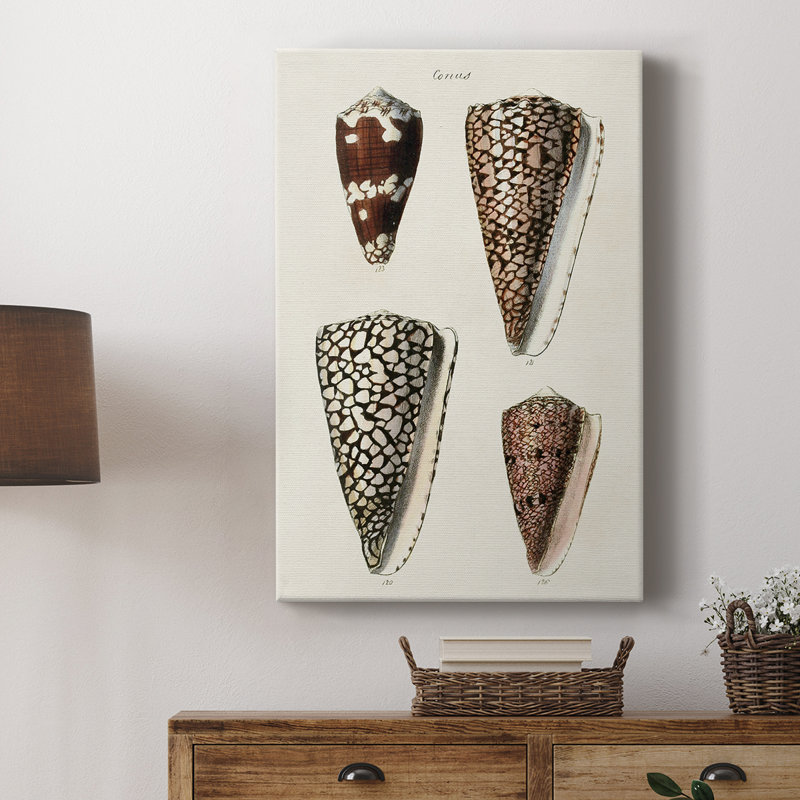 Collection Cone Shell I -Gallery Wraraped Cavas, H 60 po x l 40 po