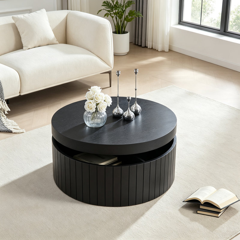 Table basse ronde moderne avec rangement Table à thé d'appoint pour le salon, la chambre à coucher, sans assemblage, Noir