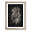 Silverback Gorilla - Picture Frame Graphic Art Print-56857568-56857563