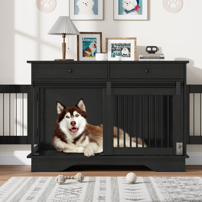Pet Carrier