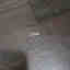 Photos des clients 1 de 1