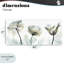 Jewels Of Passion, toile par Albert Koetsier-902654
