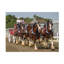 Robert Michaud, «Clydesdale 6 Horse Hitch», art sur toile-707215829