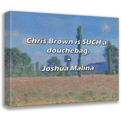Artsy Quote "Chris Brown is SUCH a douchebag." By Joshua Malina Gallery Wrapped Canvas