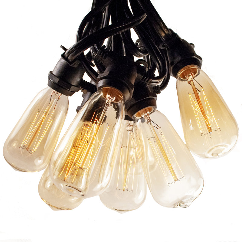 Guirlande commerciale 100 lumières 80 lumières Edison, Noir, 300 po L