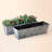 Window Box Planter-855242489
