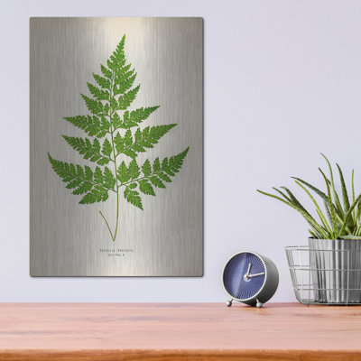 Art mural luxueux «Davallia Pyxidata» par Art Licensing Studio, 12 po x 16 po