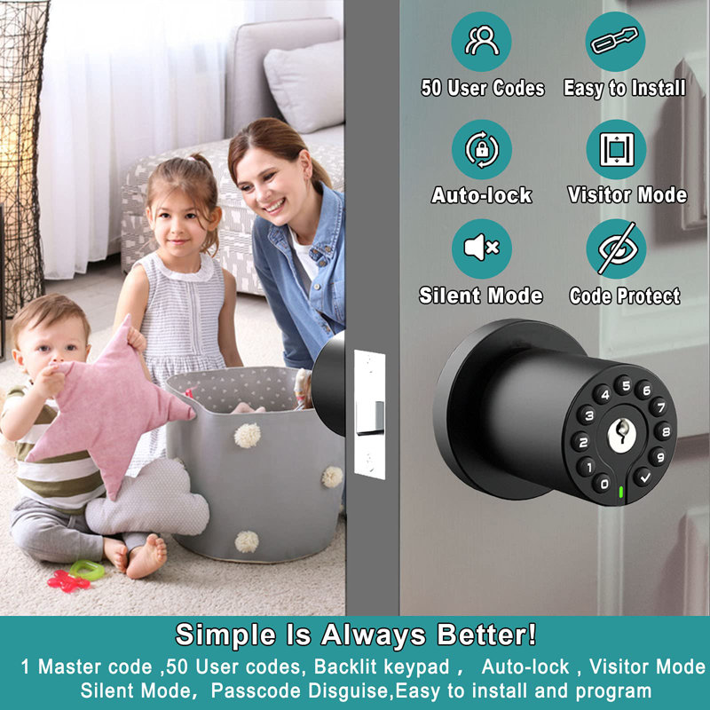 Matte Black Keypad Door Knob with Key Lock