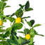Citronnier artificiel vert et jaune 51 po 51 po