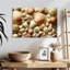 Divers coquillages-1618652