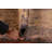 Contemporary Wool Abstract Indian Area Rug