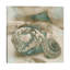 John Seba - Print on Canvas-49993610-101336168
