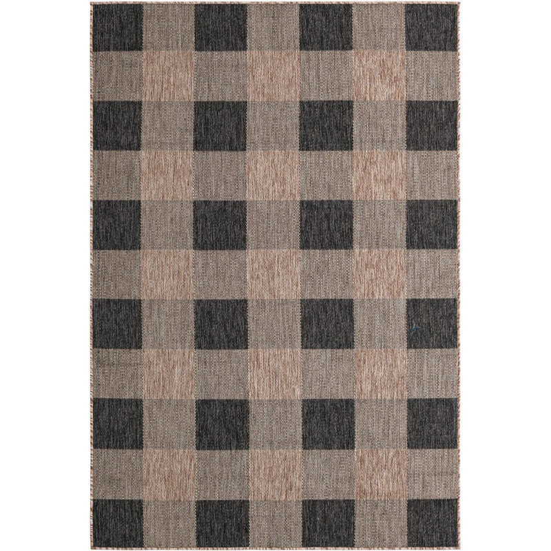 Tapis intérieur / extérieur Borrego , Rectangle 5 pi 3 po x 8 pi