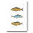 " Freshwater Fish II "-932938770