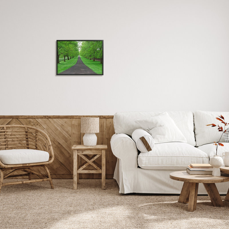 "Stupell Industries Tree Grove Path", art mural sur toile par Dennis Frates, Giclée encadrée noir minuit