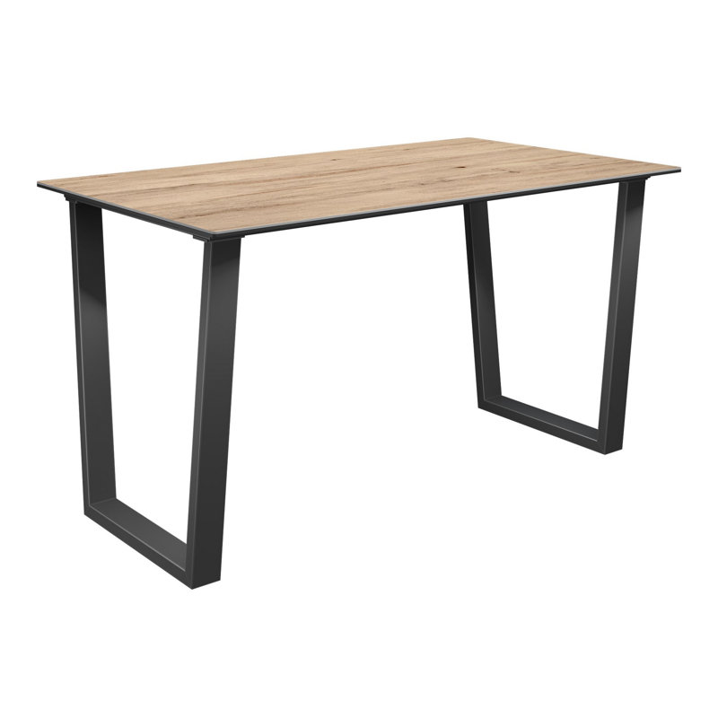 Adreann Metal Base Dining Table