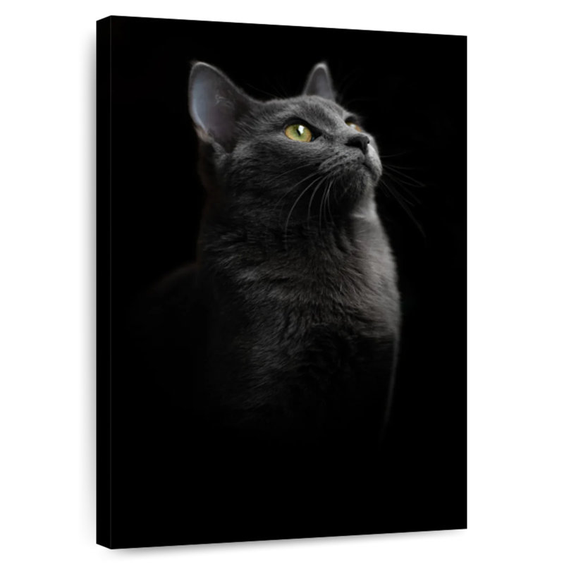 Fier chat noir, H 12 po x l 8 po
