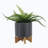 Karnveer Ceramic Pot Planter