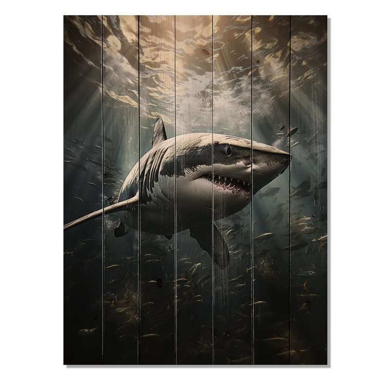 " Grey Shark The Majesty ", 32" H x 24" W x 0.78" D