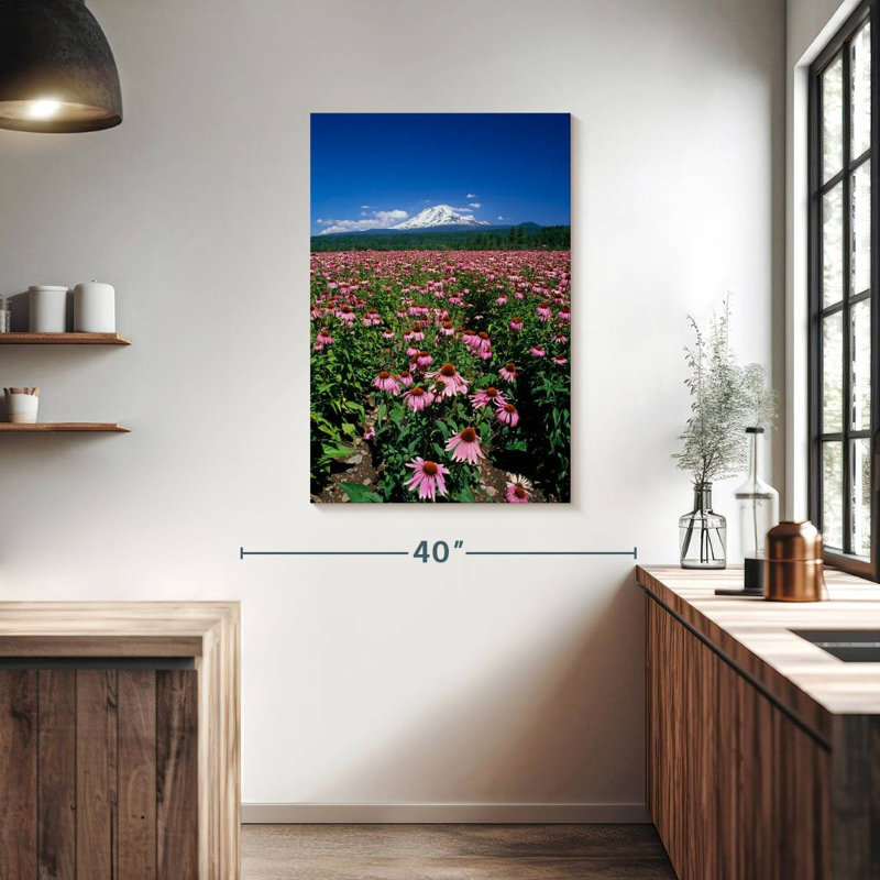 Harnek Echinacea Field, 39" H x 26" W
