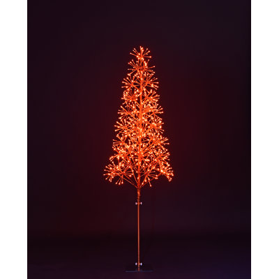 Lighted Trees & Branches