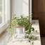 5'' H Wall Wall Sconce-71848937
