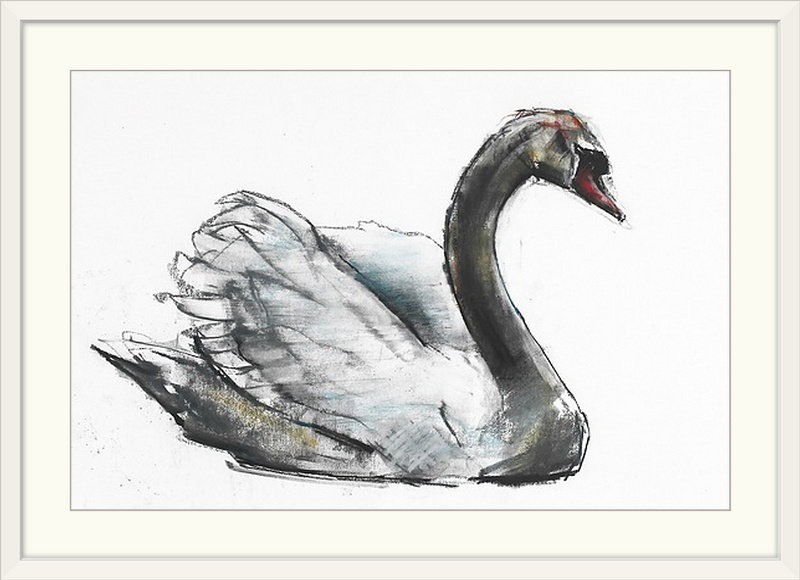 «Endicott Swan (Charcoal)» par Mark Adlington, reproduction d'art, H 20 po x l 26 po x P 1 po, Cadre blanc