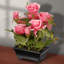 Fleurs roses en pot 10 po-102238221