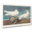 Ivory Gull by John Audubon - Wrapped Canvas-55363130