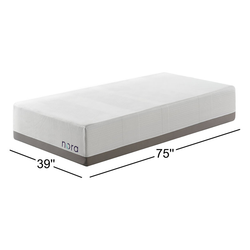 Matelas en mousse viscoélastique gélifiée 14 po avec housse rafraîchissante de qualité supérieure - Sleep by Wayfair ™