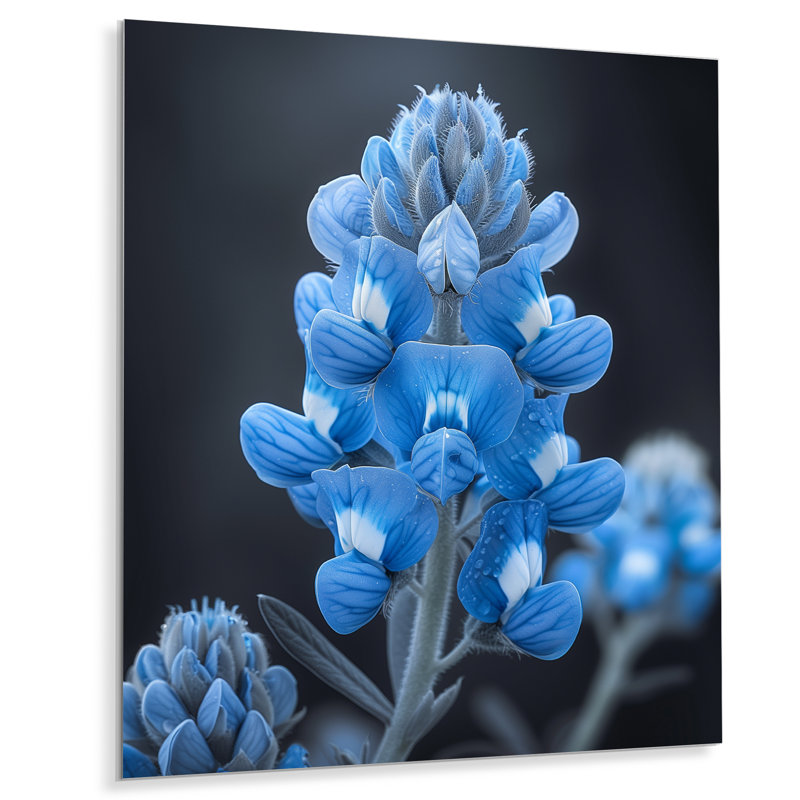 Blue Blue Blue Bonnets Beauty - Blue Bonnets, impression d'art mural, Métal métal, H 40 po x l 30 po x P 1,5 po